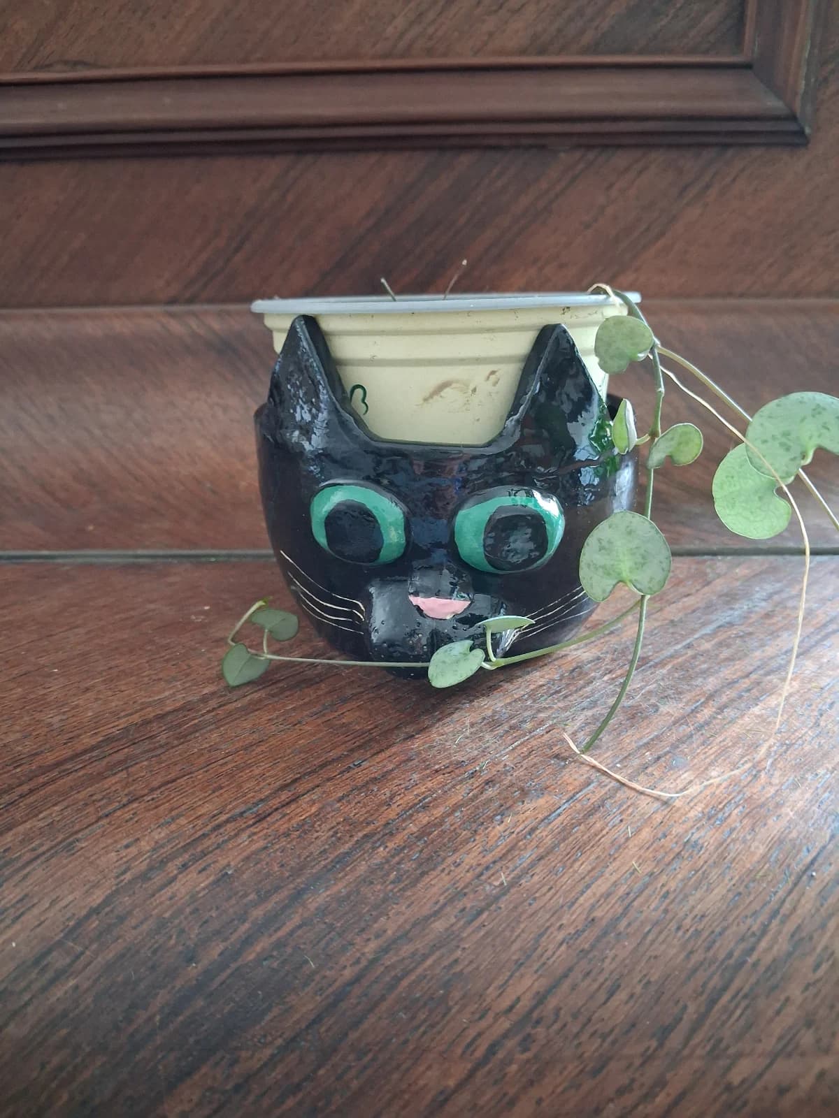 Pot chat noir en céramique utilisé comme cache-pot pour une plante verte retombante